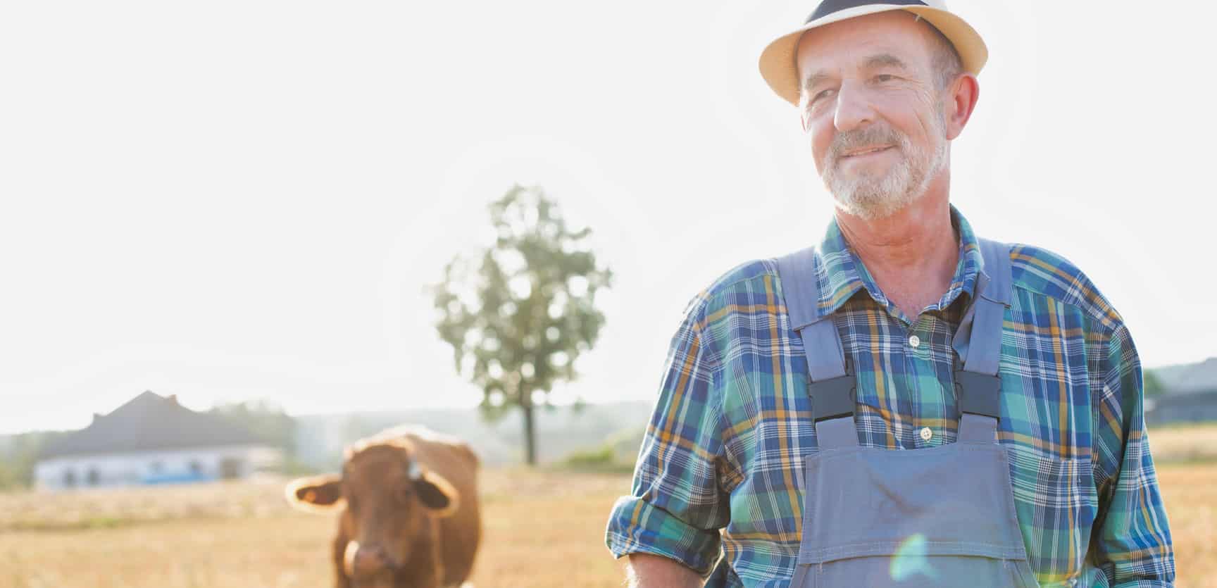 Featured image for “Verlängerung der Optionsfrist für umsatzsteuerpauschalierte Landwirte um ein Jahr”